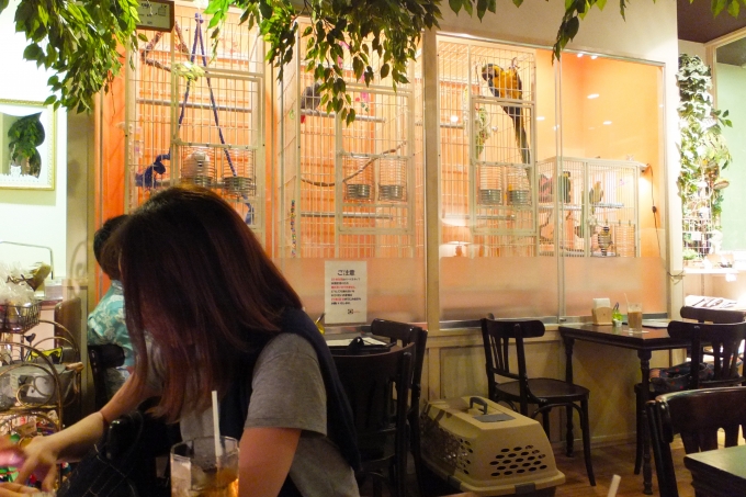 店内はこんな感じ