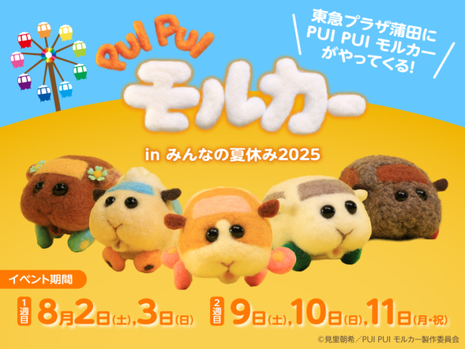 『PUI PUI モルカー』のアトラクション&ワークショップの広告ビジュアル