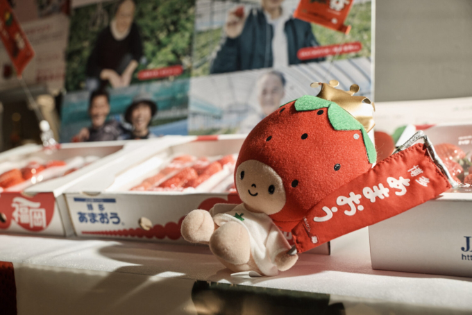 箱に入ったあまおうといちごの王さま